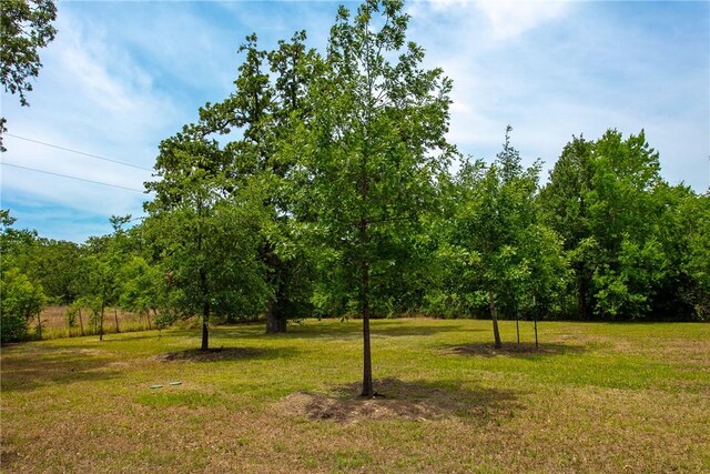 908 Munson Ave, College Station, TX 77840 - photo 16