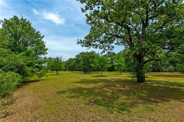 908 Munson Ave, College Station, TX 77840 - photo 19
