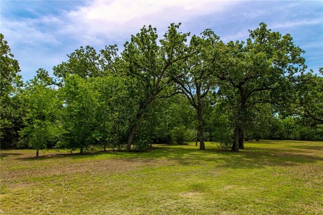 908 Munson Ave, College Station, TX 77840 - photo 11