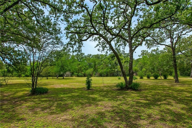 908 Munson Ave, College Station, TX 77840 - photo 9