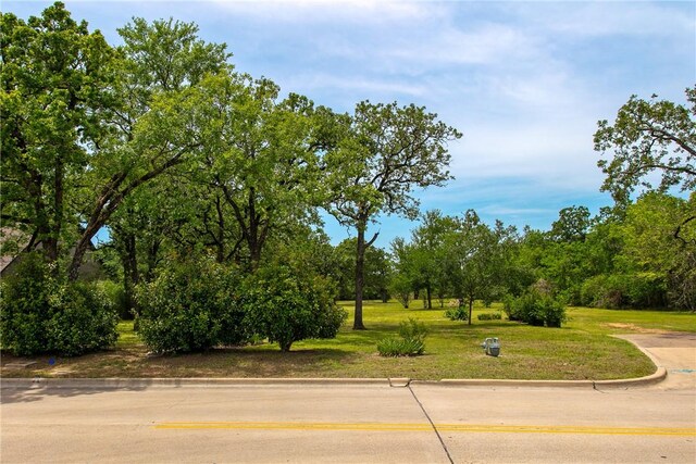908 Munson Ave, College Station, TX 77840 - photo 3
