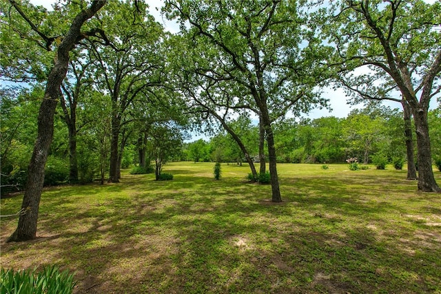 908 Munson Ave, College Station, TX 77840 - photo 8