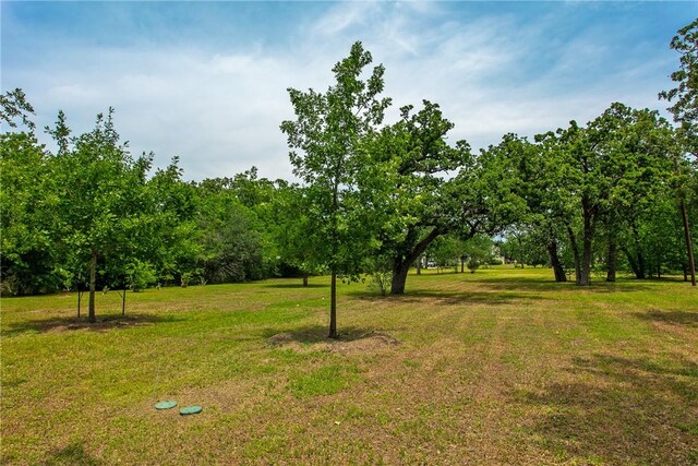 908 Munson Ave, College Station, TX 77840 - photo 18