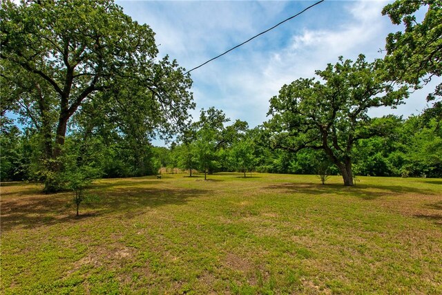 908 Munson Ave, College Station, TX 77840 - photo 15