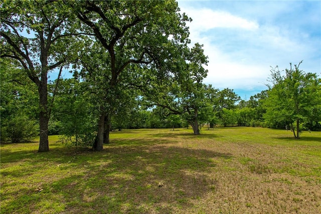 908 Munson Ave, College Station, TX 77840 - photo 12