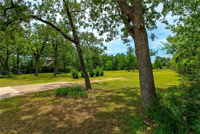 908 Munson Ave, College Station, TX 77840 - photo 6