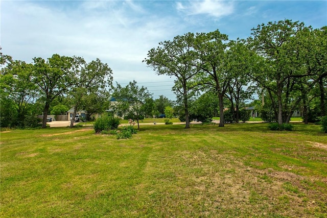 908 Munson Ave, College Station, TX 77840 - photo 22