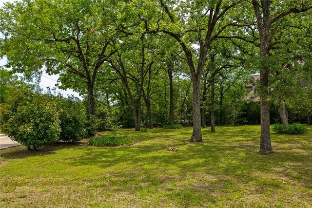 908 Munson Ave, College Station, TX 77840 - photo 7
