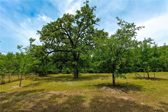 908 Munson Ave, College Station, TX 77840 - photo 17