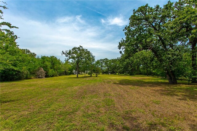 908 Munson Ave, College Station, TX 77840 - photo 20