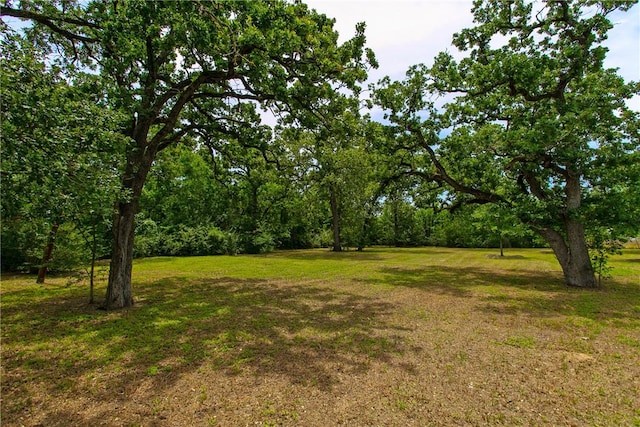 908 Munson Ave, College Station, TX 77840 - photo 13