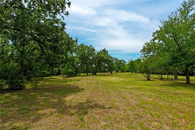 908 Munson Ave, College Station, TX 77840 - photo 10