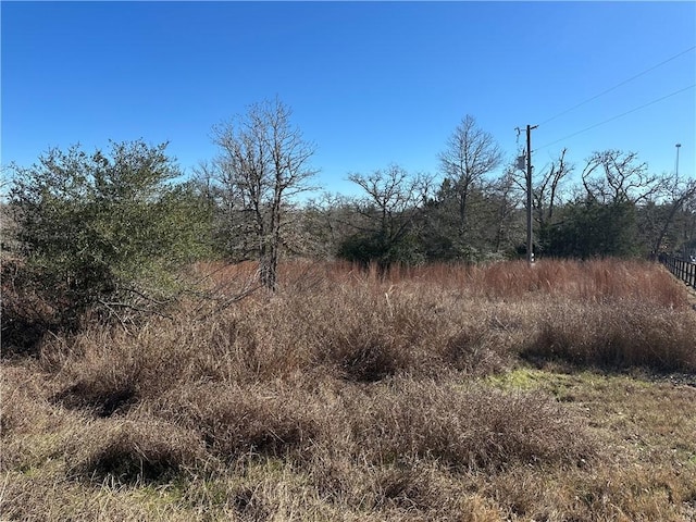 Listing photo 3 for TBD Lions Cir, Somerville TX 77879