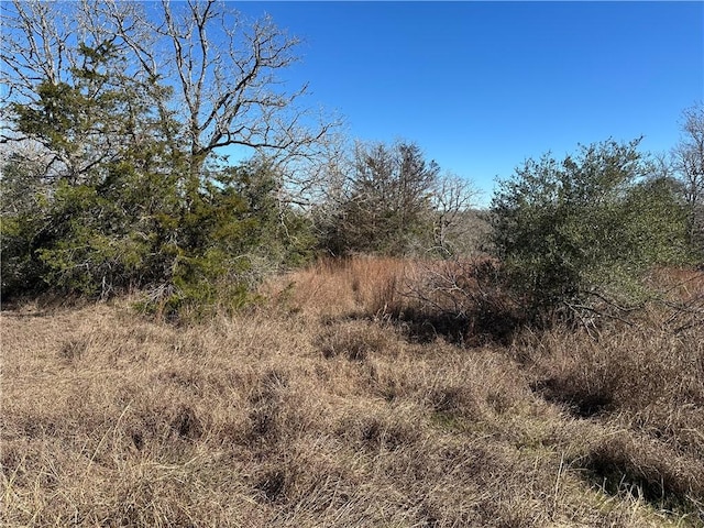 Listing photo 2 for TBD Lions Cir, Somerville TX 77879