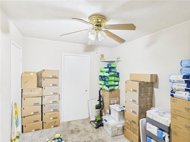 1008 Bittle Ln, Bryan, TX 77803 - office area with a ceiling fan, carpet flooring, and ornamental molding