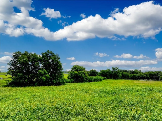 TBD Fm 2988, Navasota, TX 77868