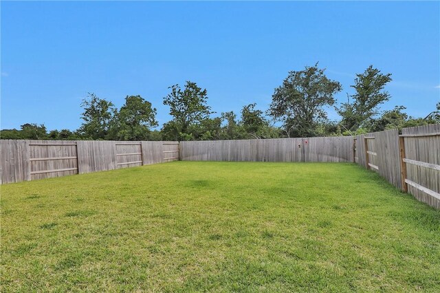 317 Riverwood Village Ln, Sealy, TX 77474 - view of yard