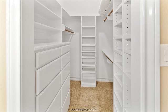 walk in closet featuring light colored carpet