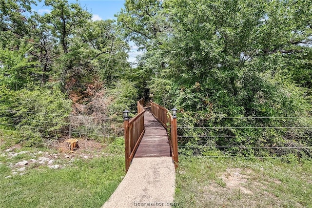 17899 Saddle Creek Dr, College Station, TX 77845 - photo 5