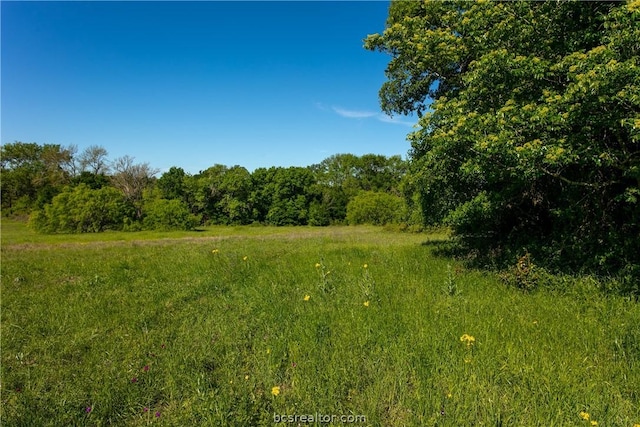 Listing photo 2 for LOT13A Brazos Ct, Caldwell TX 77836