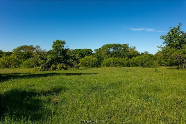 LOT13A Brazos Ct, Caldwell TX, 77836 land for sale