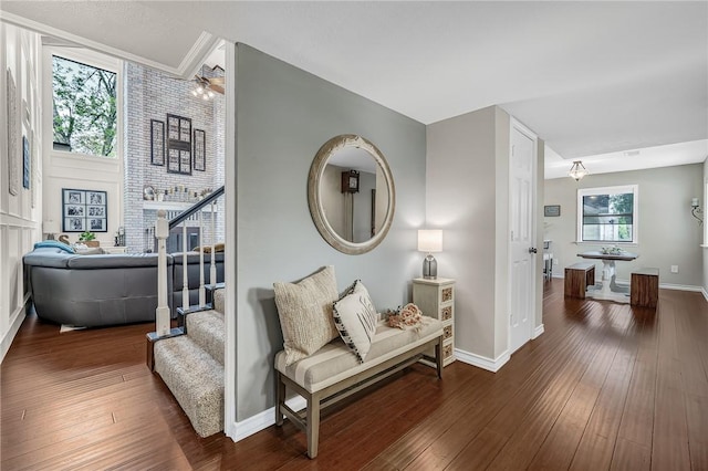 living area with dark hardwood / wood-style floors