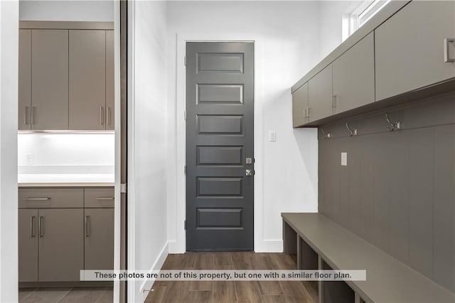 mudroom featuring dark hardwood / wood-style flooring