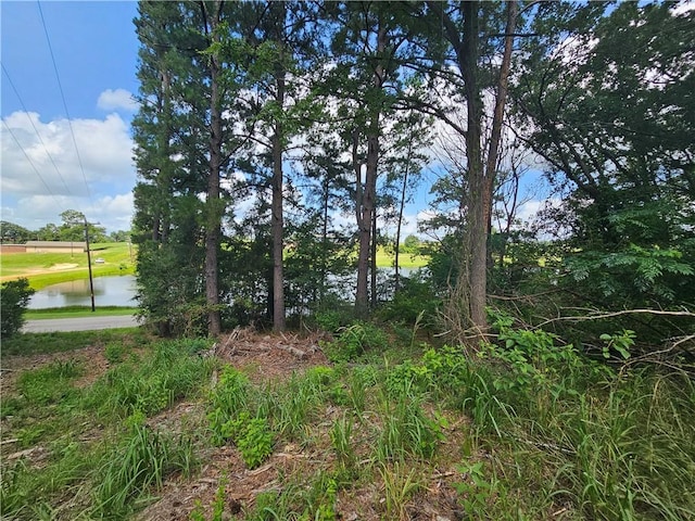 LOT1BLOCK6 Lakeview Dr, Hilltop Lakes, TX 77871