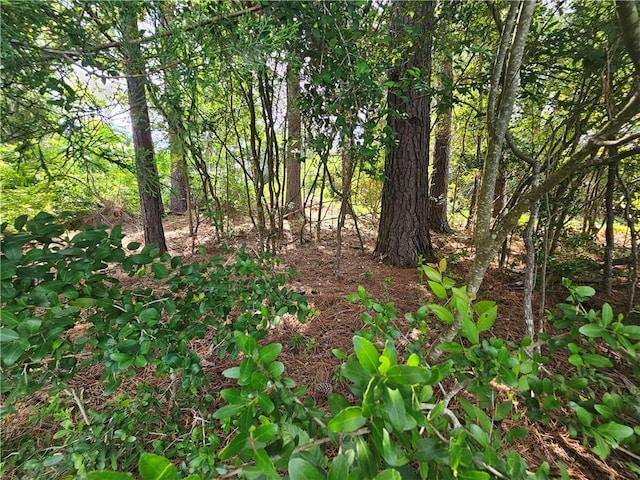 LOT1BLOCK6 Lakeview Dr, Hilltop Lakes, TX 77871