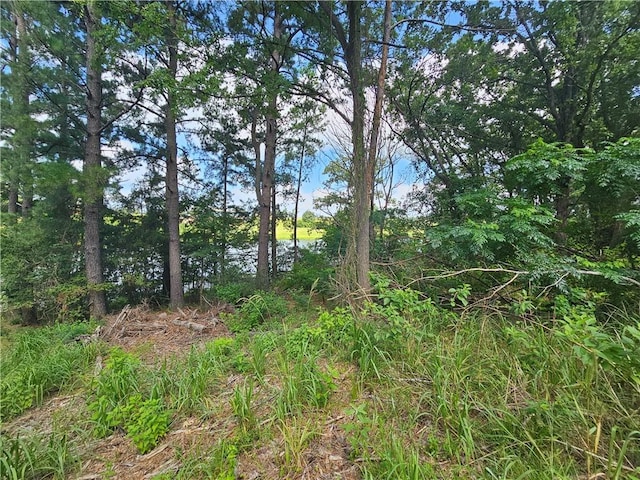 LOT1BLOCK6 Lakeview Dr, Hilltop Lakes, TX 77871
