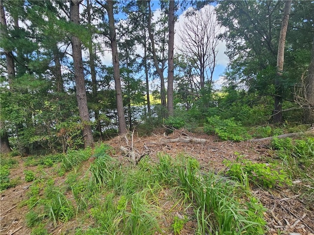 LOT1BLOCK6 Lakeview Dr, Hilltop Lakes, TX 77871