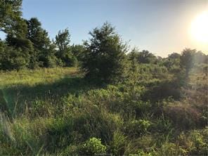 9825 County Road 173, Iola, TX 77861 - photo 20