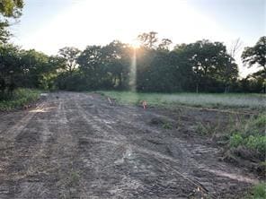 9825 County Road 173, Iola, TX 77861 - photo 23