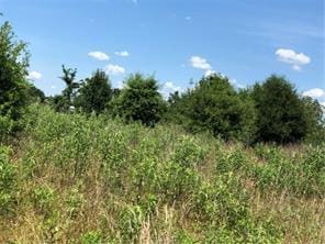 9825 County Road 173, Iola, TX 77861 - photo 26
