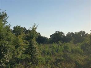 9825 County Road 173, Iola, TX 77861 - photo 18