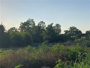9825 County Road 173, Iola, TX 77861 - photo 17