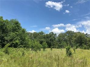 9825 County Road 173, Iola, TX 77861 - photo 21