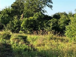 9825 County Road 173, Iola, TX 77861 - photo 19