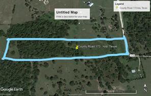 9825 County Road 173, Iola, TX 77861 - photo 3