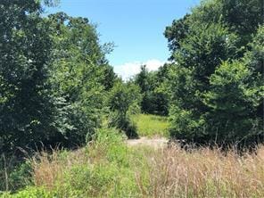 9825 County Road 173, Iola, TX 77861 - photo 6