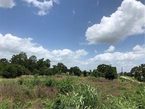 9825 County Road 173, Iola, TX 77861 - photo 9