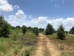 9825 County Road 173, Iola, TX 77861 - photo 11