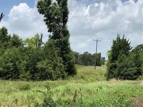9825 County Road 173, Iola, TX 77861 - photo 10