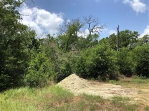 9825 County Road 173, Iola, TX 77861 - photo 7