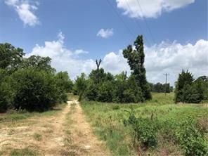 9825 County Road 173, Iola, TX 77861 - photo 5