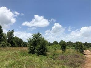 9825 County Road 173, Iola, TX 77861 - photo 14