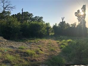 9825 County Road 173, Iola, TX 77861 - photo 16