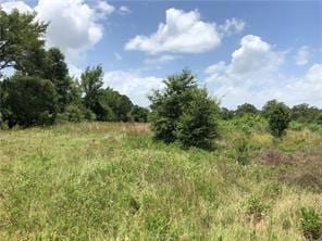 9825 County Road 173, Iola, TX 77861 - photo 15