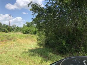 9825 County Road 173, Iola, TX 77861 - photo 13