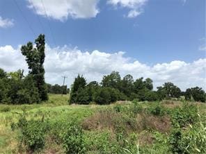 9825 County Road 173, Iola, TX 77861 - photo 8
